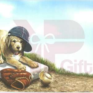 Puppy with baseball glove and cap.