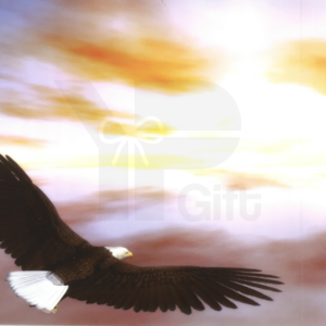 Personalized Digital Prints