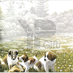 Four puppies in a sunny flower meadow.