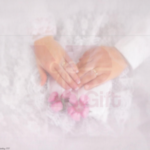 wedding, Custom, Personalized Prints for Family or Corporate Events