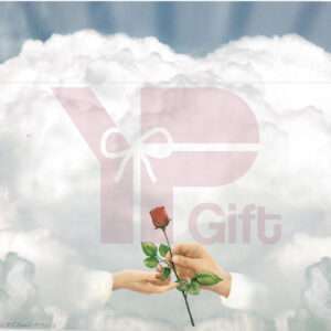 Hand presenting rose with clouds and gift text overlay.