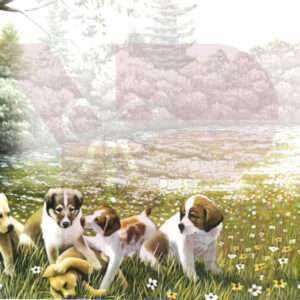 Puppies in meadow by lake with flowers and trees.